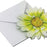 Lime Green 3-D Flower Pop Up Cards - 4" Wide, Set of 25