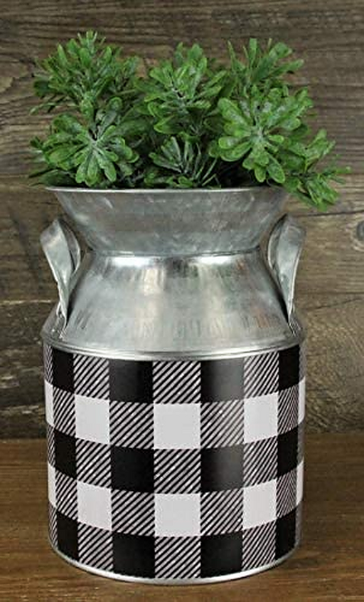 milk-jug-succulent-planter