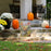 pumpkin-patch-garden-flag