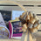 gold-brown-gift-basket-bow